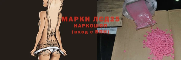 гидра Арсеньев