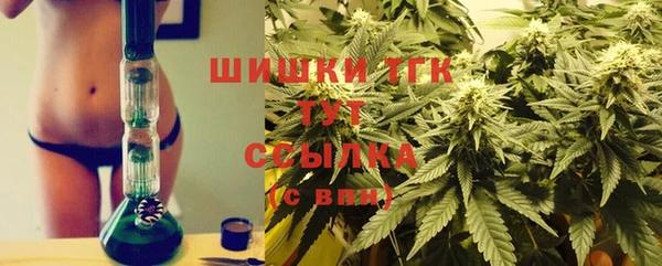 гидра Арсеньев