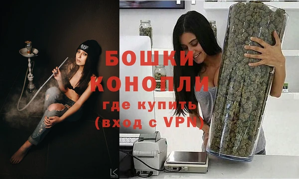 гидра Арсеньев