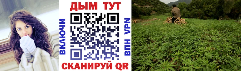Бошки Шишки индика  купить   Темрюк 